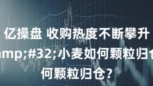 亿操盘 收购热度不断攀升 小麦如何颗粒归仓？