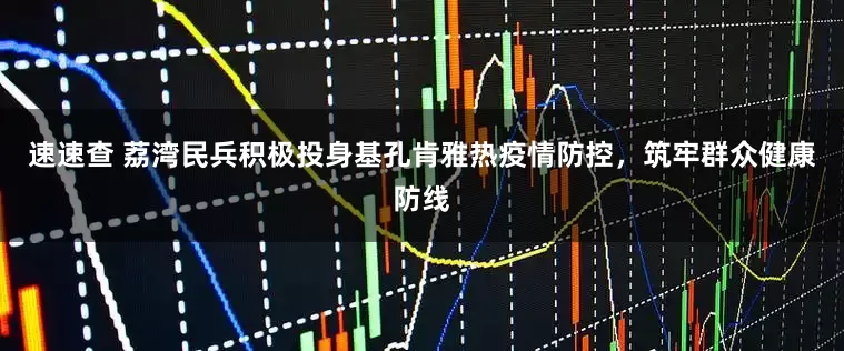 速速查 荔湾民兵积极投身基孔肯雅热疫情防控，筑牢群众健康防线